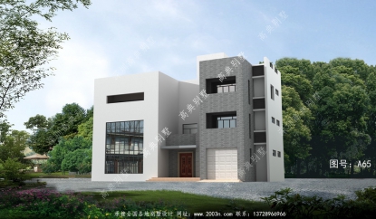 農村建造現代風格別墅設計圖，設計效果圖